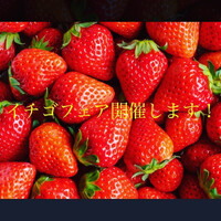 画像308