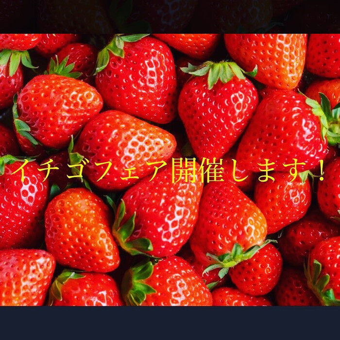 画像308